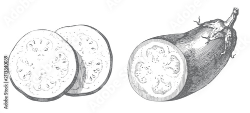 Obraz na płótnie Eggplant aubergine vegetable illustration with whole fruits, sliced pieces, and cut section in vintage engraving