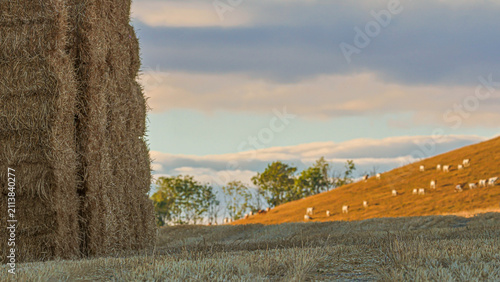 Landscape with haystack , hillside and distant goats grazing.