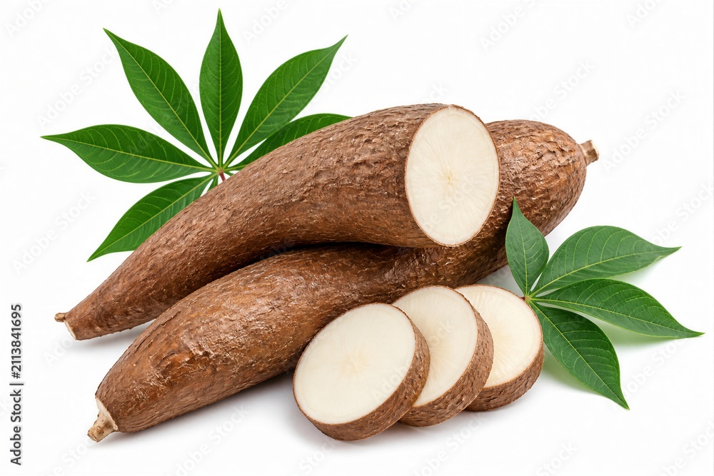 Fototapeta premium Cassava roots sliced arranged with leaves on white background