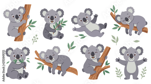 Photography Koala bears colorful set, cute baby animal collection on tree.
