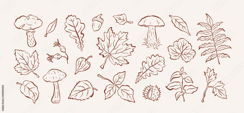 Obraz premium Autumn doodle sketch set of leaves, berries, acorn, chestnut, and mushrooms