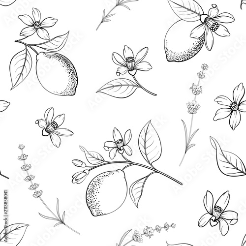 Seamless citrus pattern with lemons and lavender. black and white