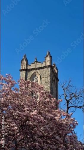 The gothic-style tower of the Foundry United Methodist Church in Washington, D.C., framed by blooming cherry trees.