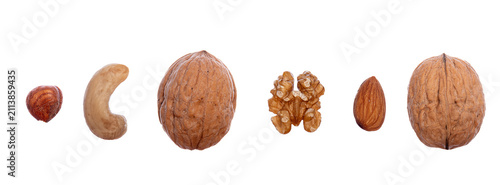 A series of individual nuts against a white background.