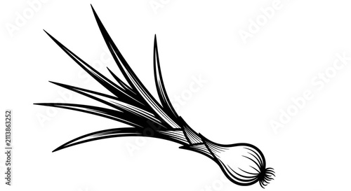 Foto Hand Drawn Illustration of Spring Onion Scallion