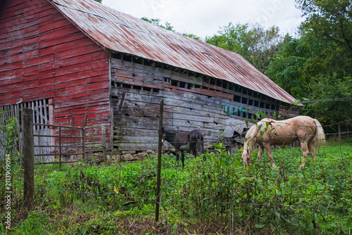 red barn with horses