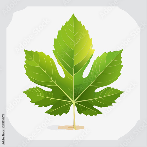 Green chestnut leaf illustration on white.