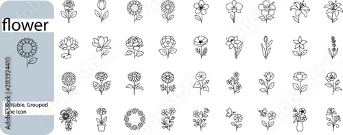 Minimalist flower line icon set, 40 editable floral vector elements, botanical outline  sunflower, leaf, bouquet, spring, summer, branding