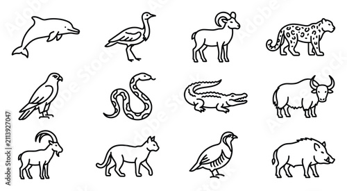 Wildlife animals and birds vector set, dolphin peacock markhor leopard eagle cobra snake crocodile buffalo deer fox pigeon rhino line art icons for zoo wildlife nature and conservation design