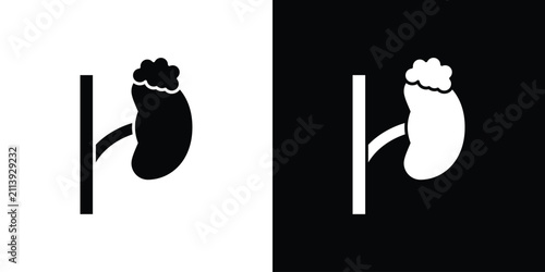 Fotografie Adrenal gland icon