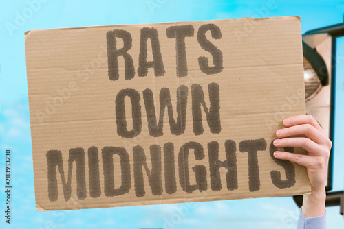 Foto "Rats Own Midnights" Night sidewalks feel claimed