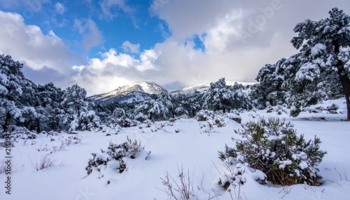 Snowy Mountain Landscape with Pine Trees and Cloudy Sky.