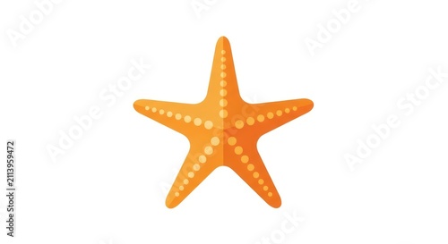 Vibrant Orange Starfish Marine Life.