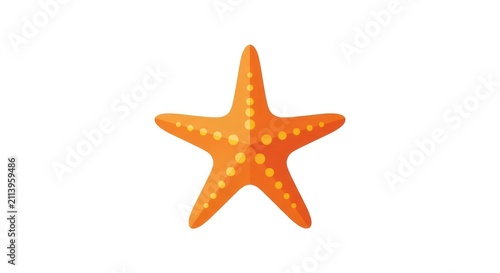 Vibrant orange starfish on white background.