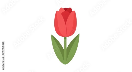 Vibrant Red Tulip Flower Illustration.