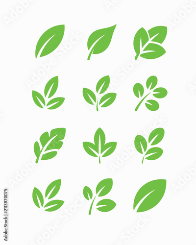 Green leaf ecology icon vector with modern flat outline and silhouette botanical symbols designed for natural products environmental conservation organic farming wellness branding project.