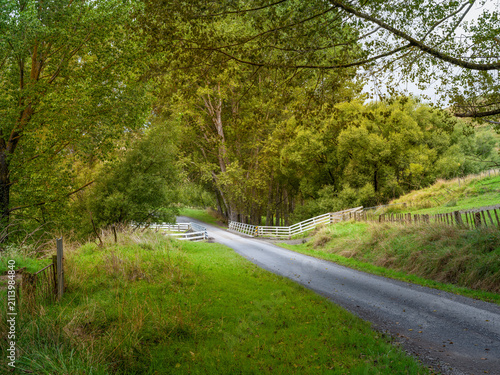 Cuadro en lienzo Car background, automotive backplate, tranquil country road in fall lined with t