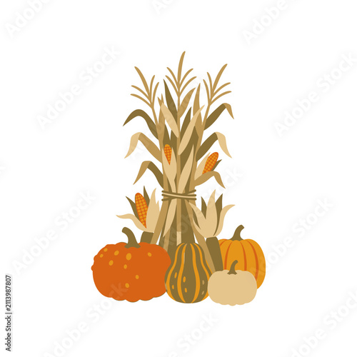 Autumn corn stalks and pumpkins harvest vector.
