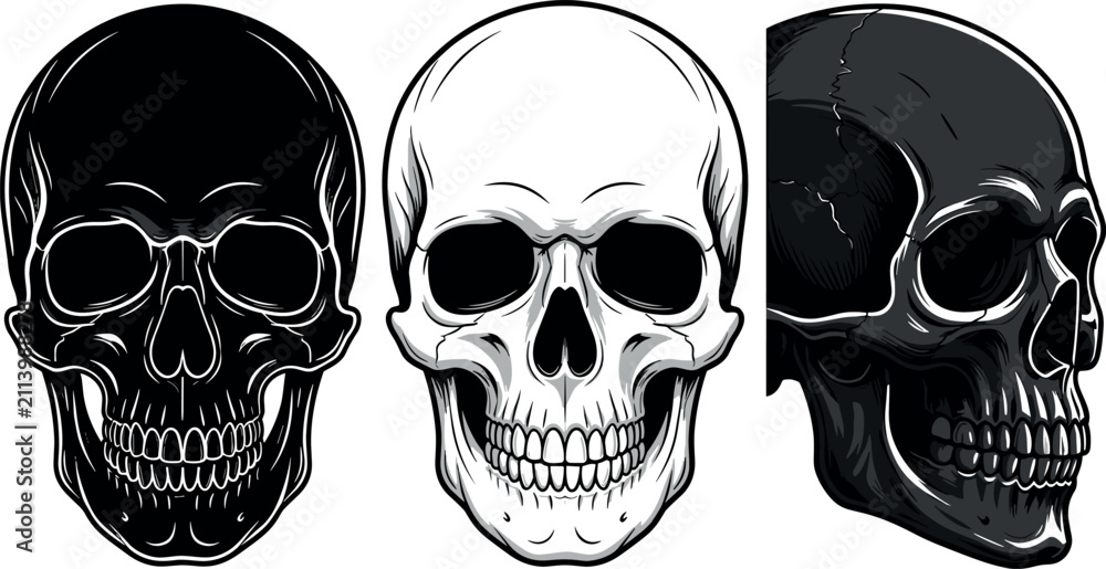 Fototapeta premium Human skull collection vector illustration with black white and side view profile cranium elements isolated on white background