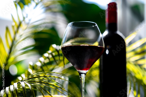 Cuadro en lienzo French Rhone Valley Syrah red wine glass with bottle framed by tropical palm lea