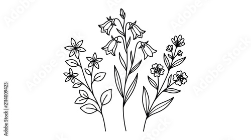Bild auf Leinwand Hand drawn bellflower and wildflower line art set