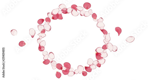 Pink Rose Petals Circle Frame