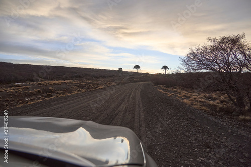 Driving on a dirt road leading to araucaria trees at sunrise in Caviahue, Neuquen, Argentina