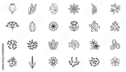 Foto Minimalist botanical spice and seed icons, set of 24 line art vector elements