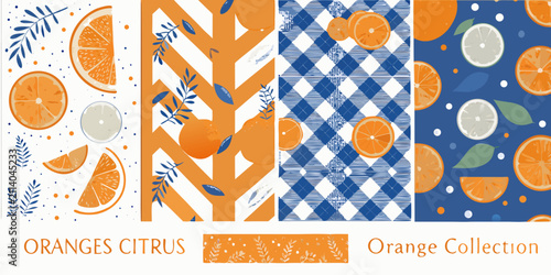 orange citrus fruit designs with blue geometric patterns vector illustration pattern background colorful graphic art modern stylish fresh tropical food print fabric decoration
