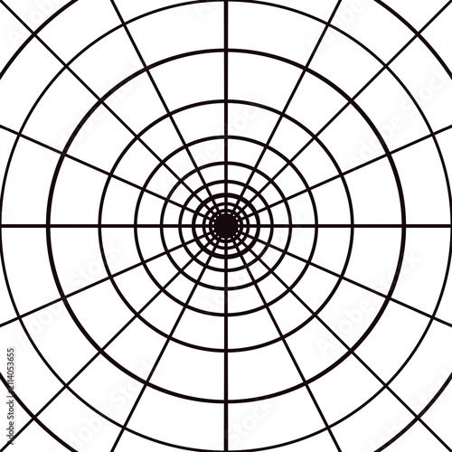 Radial Grid Pattern with Concentric Circles and Radiating Lines