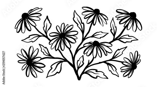 Bild auf Leinwand Elegant Hand Drawn Daisy Flowers Botanical Illustration.