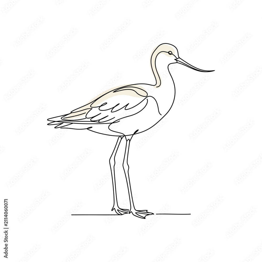 Obraz premium One line drawing of a long-legged wading bird.