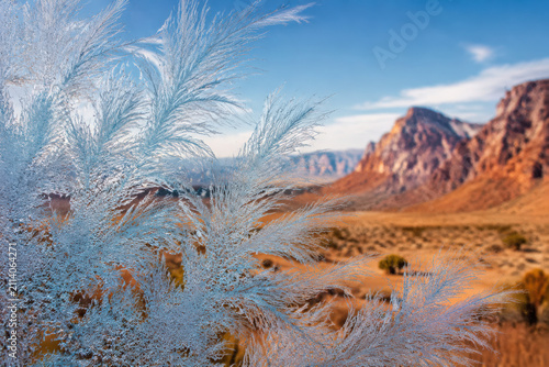 Frost pattern, ice crystal, desert landscape, mountain, blue sky, winter texture across plant foreground with arid valley backdrop