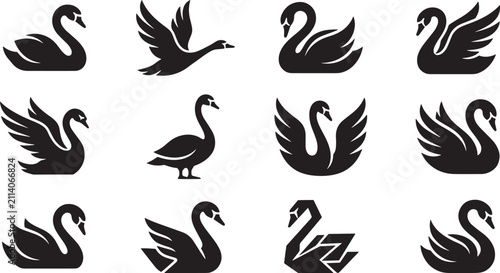 Fotografie Elegant swan logo set, collection of 12 black bird silhouettes in vector format,