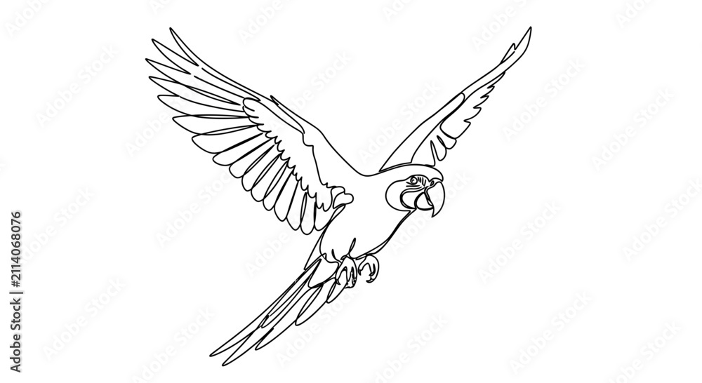 Obraz premium Outline drawing of a macaw parrot in flight, spread wings, white background