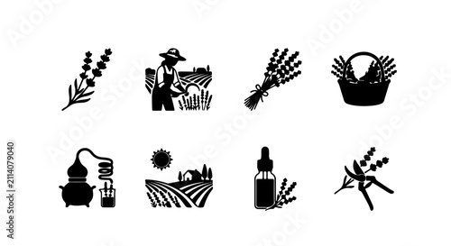 Bild auf Leinwand Lavender Farming Icons, Essential Oil Production Set, Rural Harvest Graphics, Or