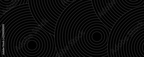 Canvas Print Create a bold look with a centric circle background featuring vector