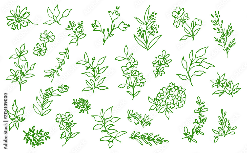 Obraz premium Hand-Painted Boho Botanical Vector Line Art Set with Doodle-Style Wildflowers, Berries, and Leaves for Wedding Invitations, Surface Design, and Greeting Cards