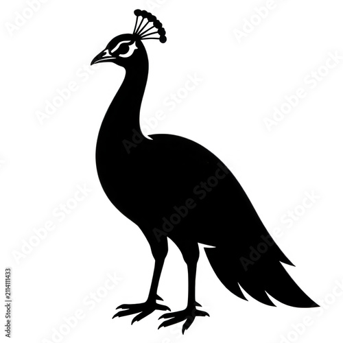 White Line Art Peacock Silhouette Isolated
