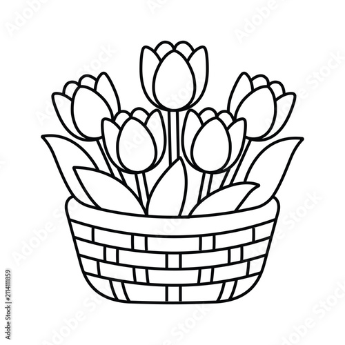 Line art illustration of a basket filled with blooming tulips