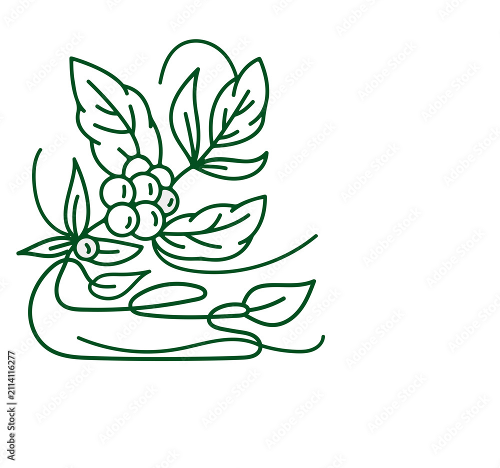 Obraz premium Vector line icon of coffee tree. Coffee plant linear logo. Outline symbol for cafe, bar, shop. Coffeemaking design element for sites.