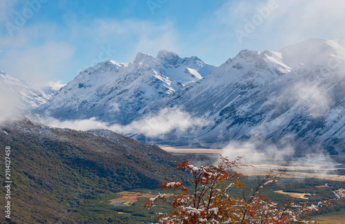 an afternoon shot of a southern beech tree with and the las vueltas river valley in the distance at los glaciares national park of argentina