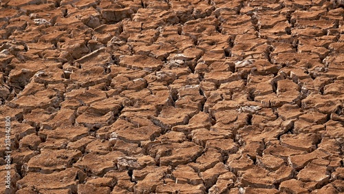 Foto Dry and arid land caused by global warming