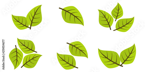 Leaf vector symbol, leaf illustration or leaf emoji in flat style. Spring leaf design, ecological nature theme.	