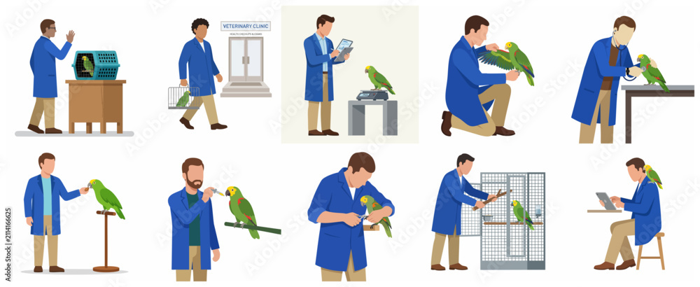 Fototapeta premium Avian veterinarian and parrot care illustration set featuring medical checkup, grooming, and feeding scenes