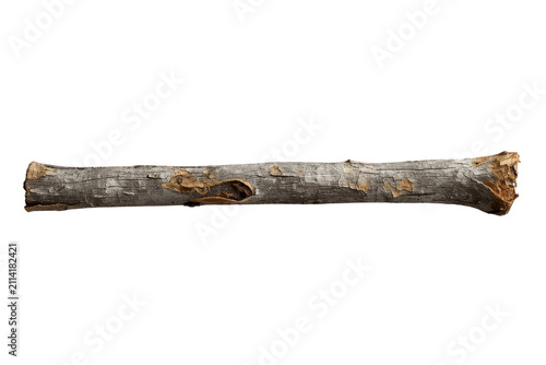 Narrow deadwood branch with broken end isolated on transparent background