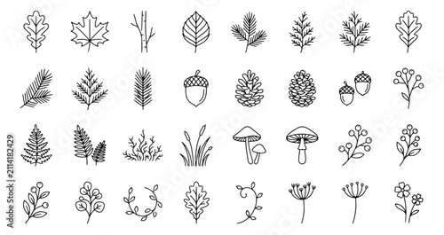 Fotografía Minimalist forest icons set, 32 black line art autumn leaves and botanical eleme