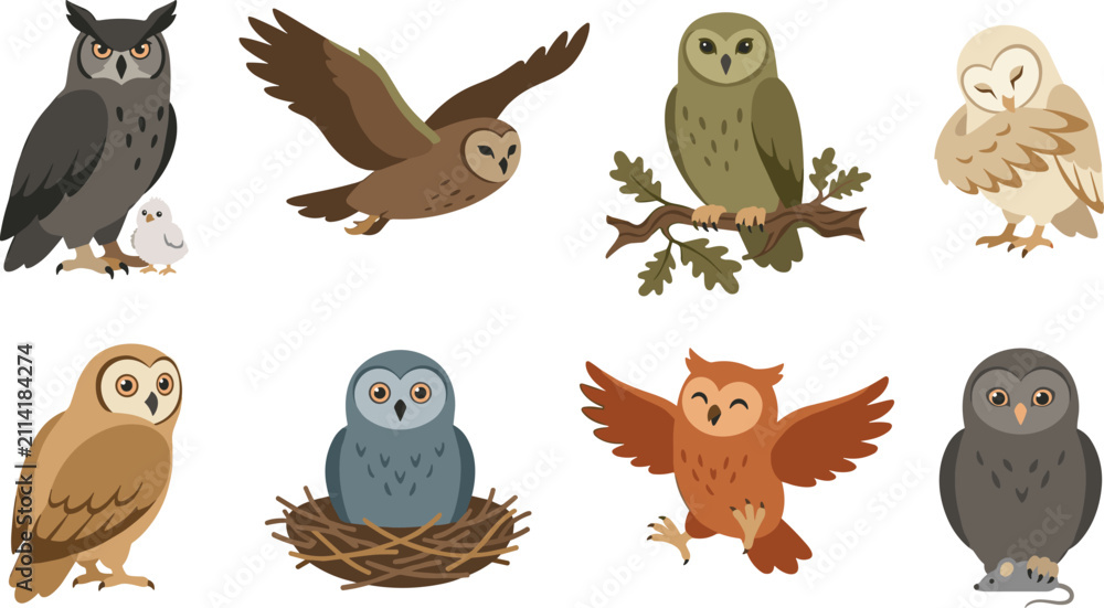 Obraz premium Different Owl Species Vector Character Set Featuring Barn Owl, Great Horned Owl, Flying, Sitting in Nest, and Catching Mouse for Wildlife Educational Designs