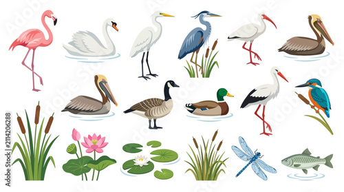 Water birds vector set, aquatic wildlife collection, wetland animals and lake flora icons
