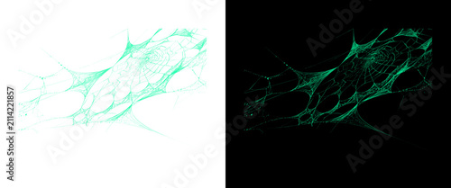 Bild auf Leinwand Fluorescence microscopy of human mesenchymal stem cells, green fluorescent prote